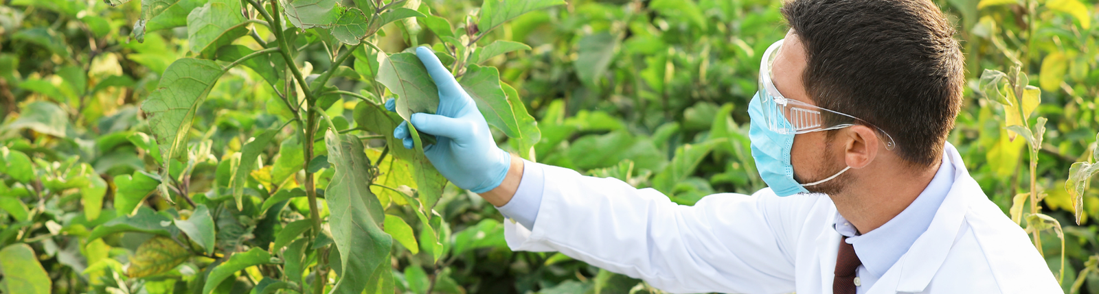 Agriculture Sciences Programs